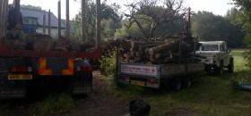 Logs, Kindling and Coal Supplier in Bournemouth and Poole, RTS Logs Dorset